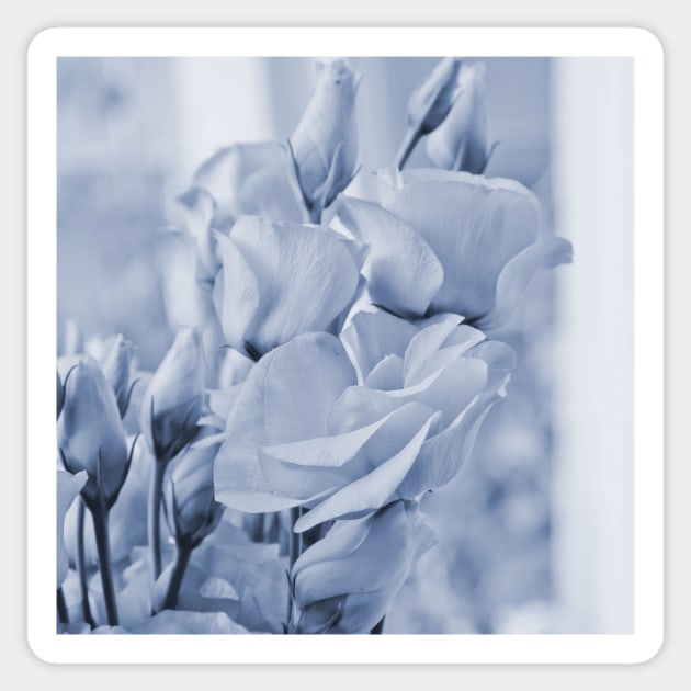 Soft blue lisianthus - Hampton Style Sticker by hamptonstyle